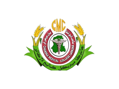 WhatsApp Image 2026 05 08 At 19.10.42 Removebg Preview